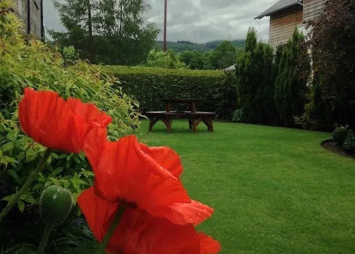 Buttonboss Lodge B&B